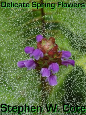 cover image of Delicate Spring Flowers